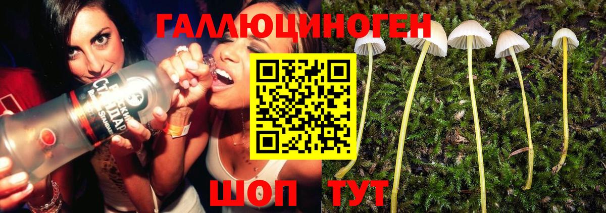 Псилоцибиновые грибы Magic Shrooms  Вход с VPN  Гурьевск  Галлюциногенные грибы прущие грибы 